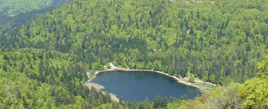 Les plus belles randonnées dans les Vosges en toutes saisons